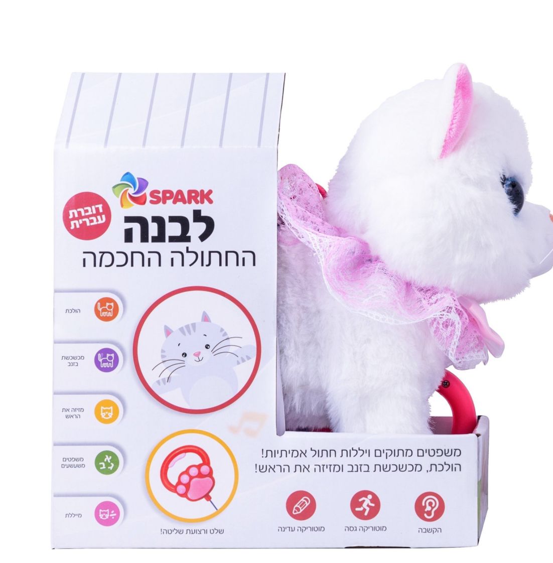 חתולה הולכת דוברת עברית