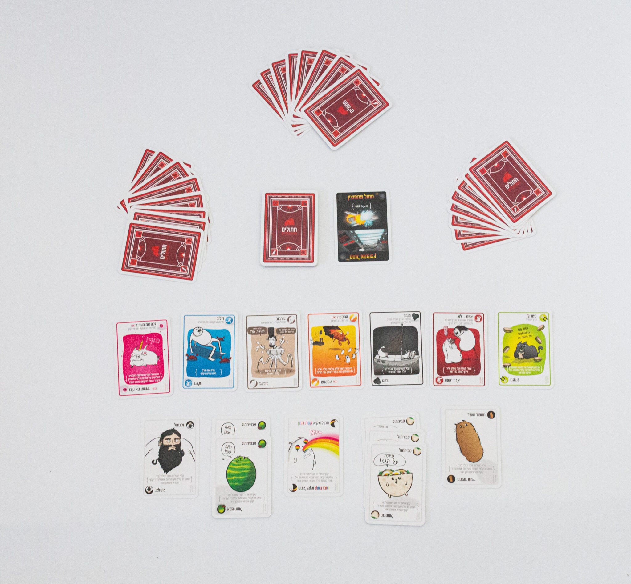 חתולים מתפוצצים