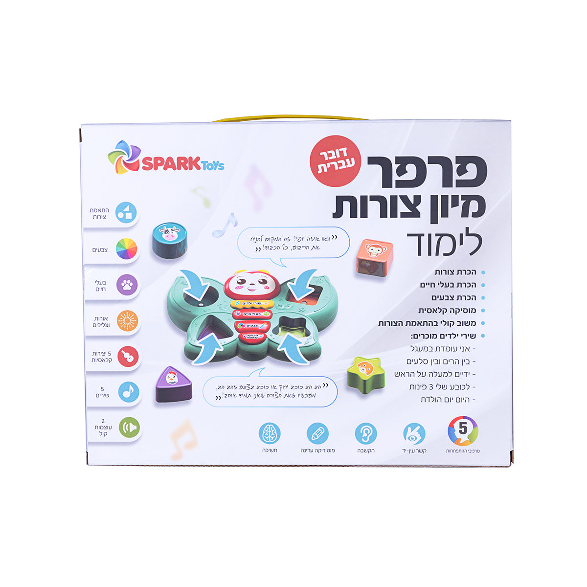 פרפר מיון צורות לימודי דובר עברית
