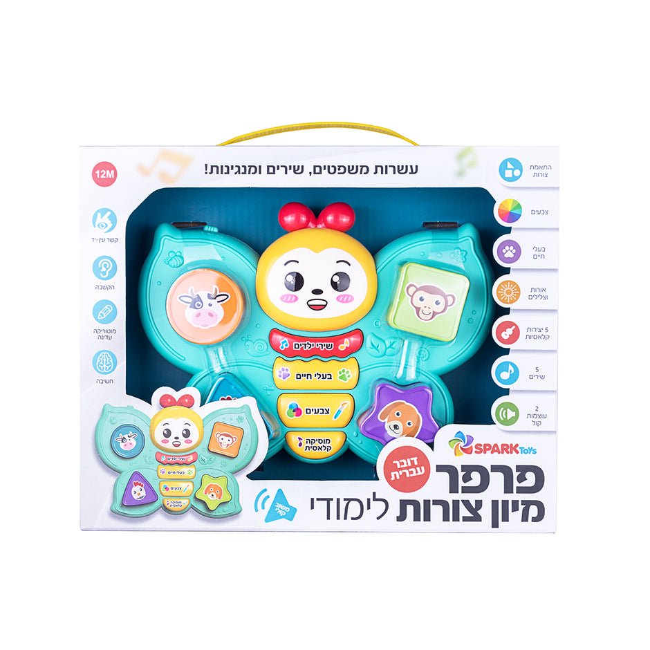 פרפר מיון צורות לימודי דובר עברית